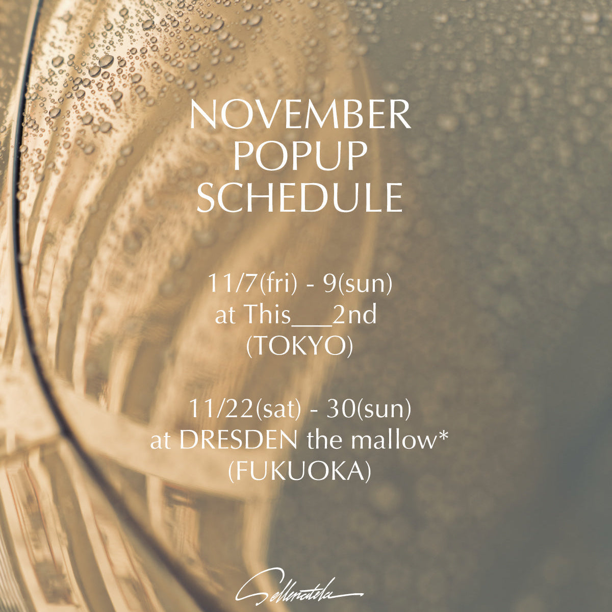11月 POPUP SCHEDULE