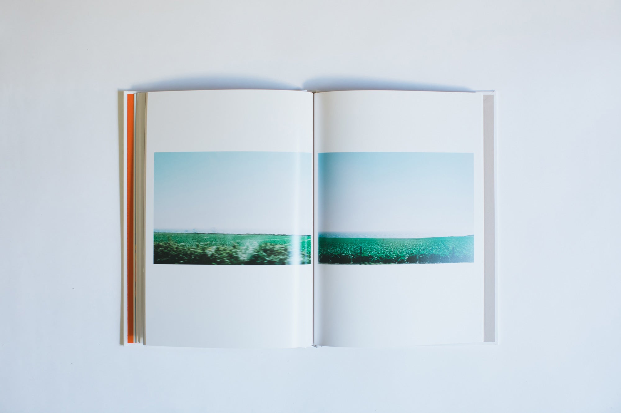 MY NEIGHBORHOOD IS YOUR NEIGHBORHOOD