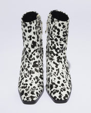 HAZEL【DALMATIAN】