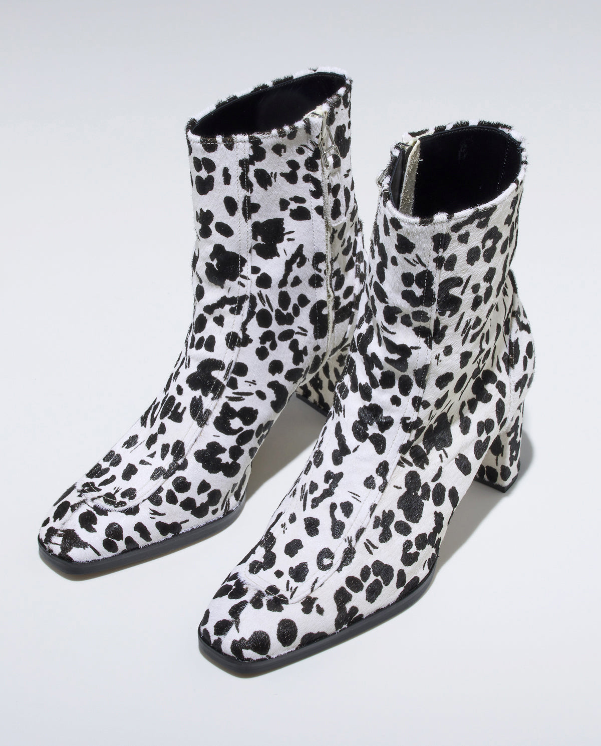 HAZEL【DALMATIAN】