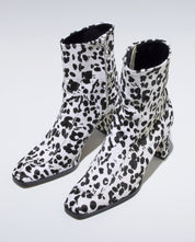 HAZEL【DALMATIAN】